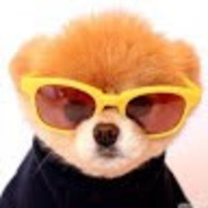 Meet your Posher, Brayten